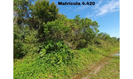 Terreno em São Francisco do Sul, BUPEVA, rua Polônia, SC, SC. Área: 360m2