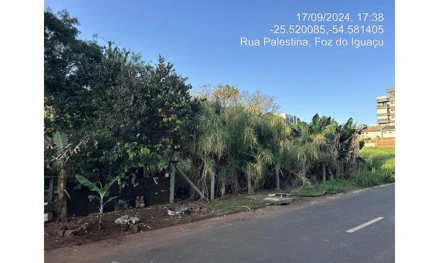 Terreno urbano em Foz do Iguaçu, Monjolo, Rua Palestina, S/N, PR. Área: 508.58m2