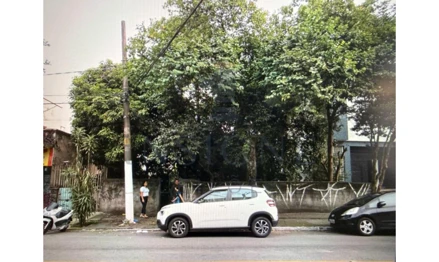 Terreno em São Paulo, Vila Gustavo, Avenida Júlio Buono, 97, SP. Área: 110m2
