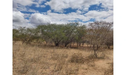 Gleba em Campo Grande do Piauí, , lugar denominado JATOBÁ, da Data Cocos, PI. Área: 150000m2