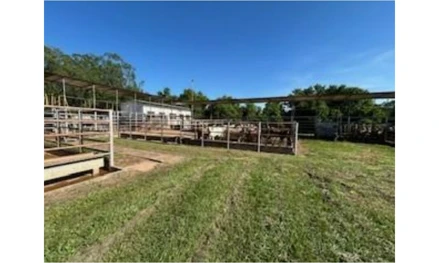 Área rural em José Bonifácio, Zona Rural, Chácara São Jeronimo, S/N - Zona Rural, SP. Área: 1.11m2