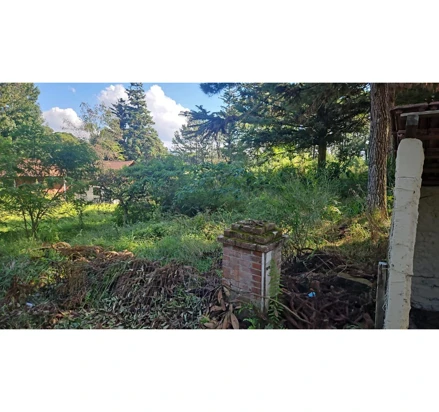 Casa em Nova Petrópolis, , Rua da Lagoa, 140, RS. Área: 115m2