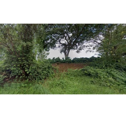 Fazenda em Machado, , Fazenda Santa Amália, MG. Área: 150m2