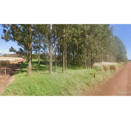 Área rural em Mercedes, , Proximidades do distrito Arroio Guaçu, zona rural do município de Mercedes/PR., PR. Área: 113350m2 Área rural em Mercedes, , Proximidades do distrito Arroio Guaçu, zona rural do município de Mercedes/PR., PR. Área: 113350m2