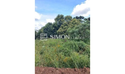 Terreno em Palmas, São Francisco, R. Serrinha, PR. Área: 688.1m2