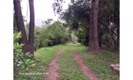 Terreno urbano em Ponta Grossa, Colônia Dona Luiza, Rua Matilde dos Santos Lacerda, PR. Área: 10260m2