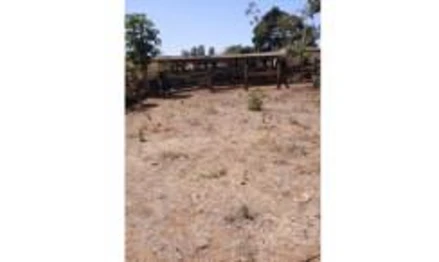 Fazenda em Piracanjuba, Fazenda Boa Esperança, Fazenda Boa Esperança, GO. Área: 126.49m2
