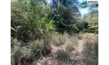 Sítio em São João do Araguaia, Povoado Tracajá, Povoado Tracajá, PA. Área: 471600m2