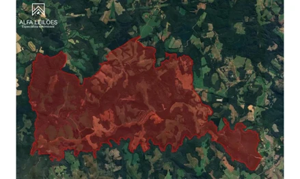Fazenda em null, , Fazenda Santana - “Fazendinha”, “Faxinal dos Corrêas” e “Pedra Alta”, Lapa/PR, PR. Área: 3705.15m2 Fazenda em null, , Fazenda Santana - “Fazendinha”, “Faxinal dos Corrêas” e “Pedra Alta”, Lapa/PR, PR. Área: 3705.15m2