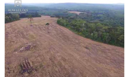 Fazenda em null, Monte Alegre, Rua Curupacê, n° 260, Mooca - CEP 03120-010 - São Paulo - SP, PR. Área: 1120000m2 Fazenda em null, Monte Alegre, Rua Curupacê, n° 260, Mooca - CEP 03120-010 - São Paulo - SP, PR. Área: 1120000m2