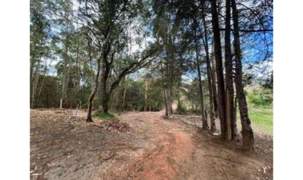 Gleba em Pedra Bela, Pedra Bela E Campanha, SP /Pedra Bela, SP. Área: 72600m2