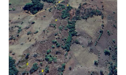 Fazenda em Lagoa Formosa, Mata Burros, Lugar Macuco, fazenda Mata Burros, lugar Macuco, MG. Área: 15869m2