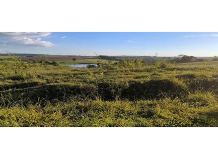 Imóvel rural em São João da Boa Vista, Bairro Dos Braidos, Sitio Santo Antonio, Bairro dos Braidos em São João da Boa Vista - SP, SP. Área: 15.73m2