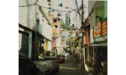 Terreno em São Paulo, Paraisópolis, Rua Ricardo Avenarius, Paraisópolis, SP. Área: nullm2