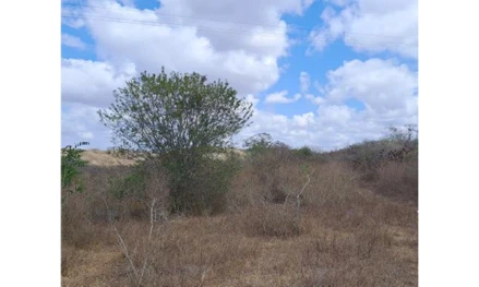 Área rural em Campina Grande, null, lado direito da BR230, sentido João Pessoa — Campina Grande, com entrada a cerca de 16 km de Campina Grande, seguindo por uma estrada de terra a partir da BR 230 por cerca de 1,7 km, PB. Área: nullm2