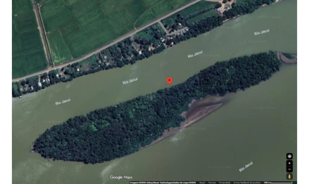 Área rural em Triunfo, null, Ilha da Ponta Rasa, conhecida por Ilha Grande, no distrito de Passo Raso, neste município, zona rural, RS. Área: nullm2
