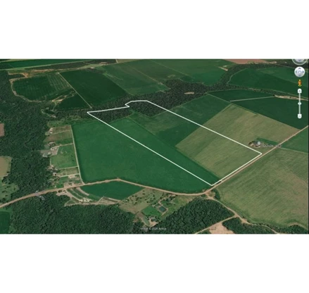 Área rural em Ipiranga do Norte, null, Ipiranga do Norte, MT, MT. Área: nullm2