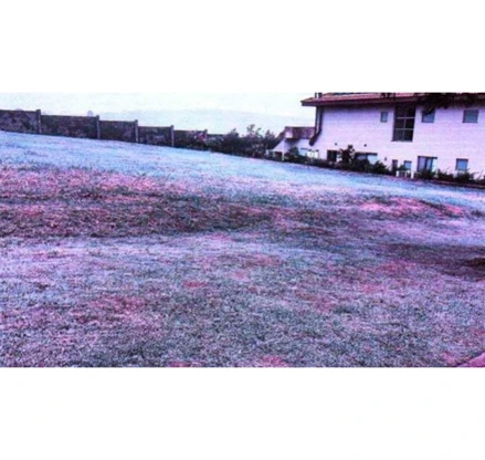 Área rural em Itatiba, null, Rua Angelim, Lt 13 da Qd W, Loteamento Fazenda Dona Carolina, Itatiba, SP, SP. Área: nullm2