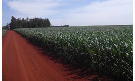 Área rural em Florínia, Gleba B", com a denominação de "SÍTIO DOS LÍRIOS", situado na "FAZENDA PAU BARBADO", na Água do Barbado, SP. Área rural em Florínia, Gleba B", com a denominação de "SÍTIO DOS LÍRIOS", situado na "FAZENDA PAU BARBADO", na Água do Barbado, SP.