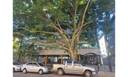 Comercial em Porto Alegre, Praia De Belas, Rua Dr. Vicente de Paula Dutra, 215, RS. Área: 56.59m2