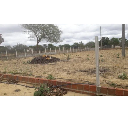 Área rural em Nova Floresta, null, Sítio Montevideu, zona rural do Município de Nova Floresta, PB. Área: nullm2