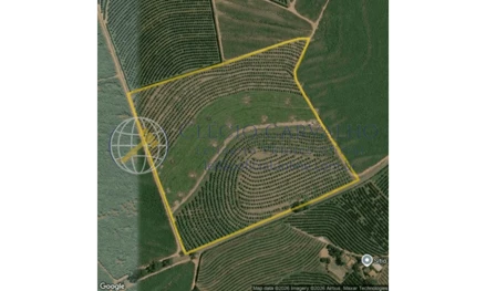 Área rural em Monte Alto, null, Fazenda Santa Maria, SP. Área: nullm2