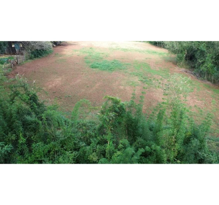 Área rural em Erechim, null, Chácara n.º 24, do Loteamento Gleba Erechim, constituído da Sub-Divisão das partes dos lotes rurais 36 e 38, da Linha Um, Secção Paiol Grande, Rua Carlos Corradi, RS. Área: 5812.5m2