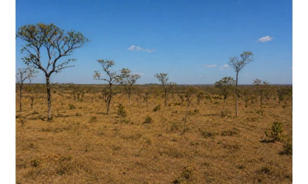 Área rural em Santa Fé de Minas, null, FAZENDA VÁRZEA ALEGRE, MG. Área: nullm2