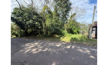 Outros em Passo Fundo, null, Avenida Mauá, no Loteamento Parque Turístico, RS. Área: nullm2