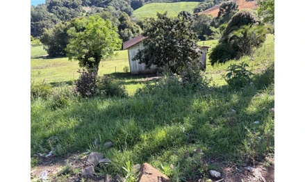 Terreno em David Canabarro, null, Terreno Urbano n.º 16, com a área de 360,00m², situado na cidade de David Canabarro/RS, no lado par da Av. Fabrício de Oliveira Pilar, distante 25,00 metros da esquina com a Rua Ernesto Rissato, medindo e confrontando: ao Norte, por 12,00metros, com terras urbanas de Valdyr Miguel Possan; ao Sul, po, RS. Área: 360m2