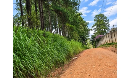 Terreno em Cabreúva, null, R. Via das Acácias, Lote n° 27, 28, 29, Cabreúva, SP, SP. Área: 37172m2