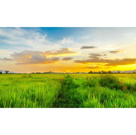 Área rural em Chácara, null, FAZENDA DOS DELGADOS, LUGAR DENOMINADO SÍTIO CACHOEIRINHA- COMARCA DE JUIZ DE FORA, MG. Área: nullm2