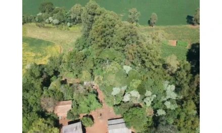 Área rural em Áurea, null, Comunidade Rio Toldo, s/nº, RS. Área: 117750m2