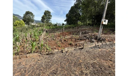 Terreno em Aratiba, null, Rua E, distante 20,00m da esquina formada com a Rua F, RS. Área: nullm2