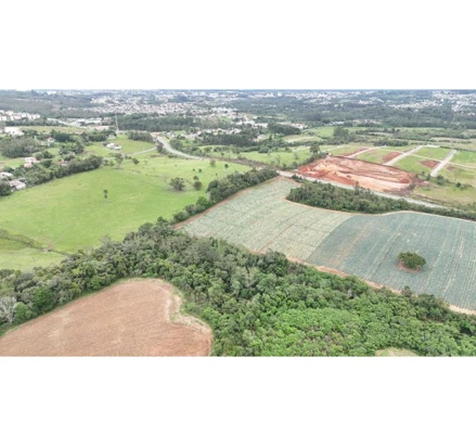 Terreno em Criciúma, Arquimedes Naspolini, situado nas rodovias Archimedes Naspolini e Luiz Henrique da Silveira (Anel Viário), bairro Archimedes Naspolini, em Criciúma (SC), SC. Área: 1268.79m2
