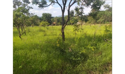 Terreno em Itirapina, null, Avenida Marginal, s/nº - Quadra 03 - Lote 06 - Condomínio Serra Verde - Itirapina/SP, SP. Área: 2025m2
