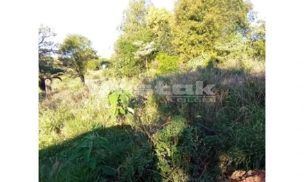 Terreno em Marmeleiro, null, Rua Santa Luzia, s/nº, Distrito Alto São Mateus - Marmeleiro - PR, PR. Área: 696.95m2
