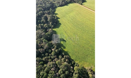 Área rural em Sarandi, null, Fazenda Sarandi, RS. Área: nullm2