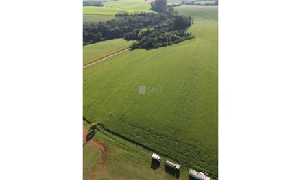 Área rural em Sarandi, null, Fazenda Sarandi, RS. Área: nullm2