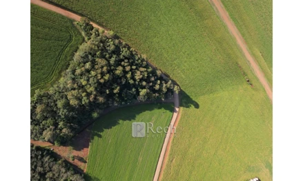 Área rural em Sarandi, null, Fazenda Sarandi, RS. Área: nullm2