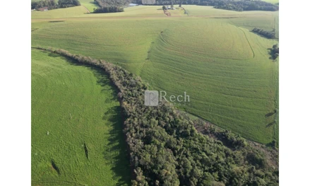 Área rural em Sarandi, null, Fazenda Sarandi, RS. Área: 66.7m2