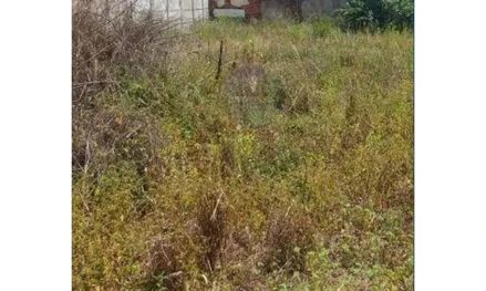 Terreno em Uberaba, null, Rua Heitor Meireles, MG. Área: nullm2