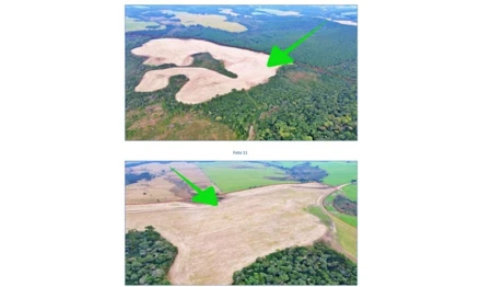 Área rural em Mafra, null, Caçador, distrito de Rio Preto do Sul, Fazenda Badonese, SC. Área: nullm2