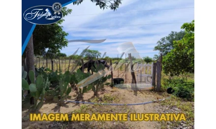 Área rural em Sertânia, null, ENDEREÇO NÃO LOCALIZADO - UMBURANAS - SERTANIA/PE, PE. Área: nullm2