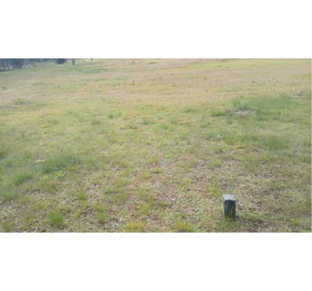 Terreno em São José dos Pinhais, Borda Do Campo, Estrada da Roseira, 5505, Borda do Campo, PR. Terreno em São José dos Pinhais, Borda Do Campo, Estrada da Roseira, 5505, Borda do Campo, PR.