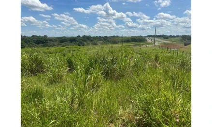 Área rural em Birigui, null, KM 525+447,48 METROS DA RODOVIA MARECHAL CÂNDIDO RONDON, SP. Área: 23730.82m2