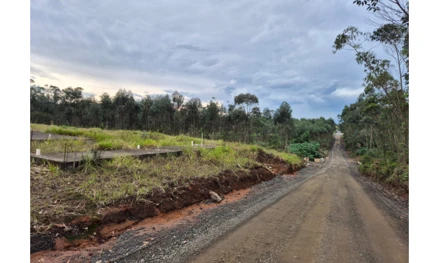 Terreno em Criciúma, Laranjinha, Rua Celeste Ronchi,, SC. Área: 13349.95m2
