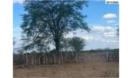 Área rural em Tucano, null, Fazenda Várzea Comprida, BA. Área: nullm2