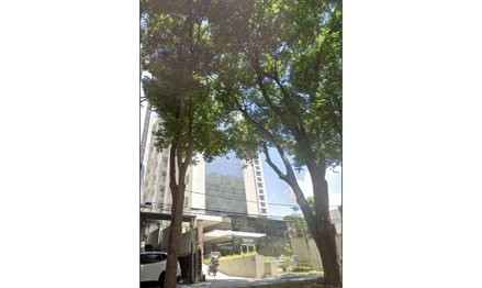 Comercial em São Paulo, Vila Gustavo, Rua Paulo de Faria, nº 146, Sala nº 501, Torre 2, Vila Gustavo, São Paulo/SP, SP. Área: 90.27m2