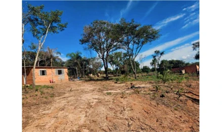 Área rural em Piraju, null, Rua Tulipas, s/nº (Estrada Velha Tejupá)- Bairro Condomínio Fazenda Santo Antônio - Pirajú/SP, SP. Área: nullm2 Área rural em Piraju, null, Rua Tulipas, s/nº (Estrada Velha Tejupá)- Bairro Condomínio Fazenda Santo Antônio - Pirajú/SP, SP. Área: nullm2